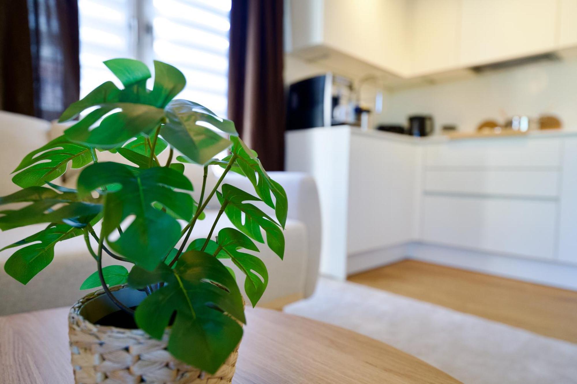 شقة Edler Wohnraum Schwanenteich-Oase Mit Balkon, Kaffeevollautomat, Lift & Parkplatz اتسوكو المظهر الخارجي الصورة